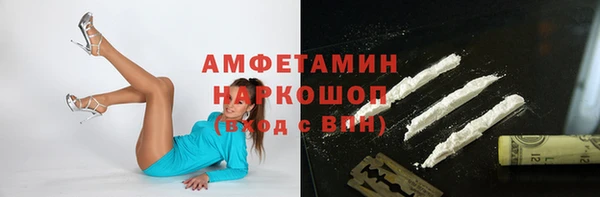 индика Баксан