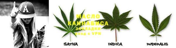 индика Баксан
