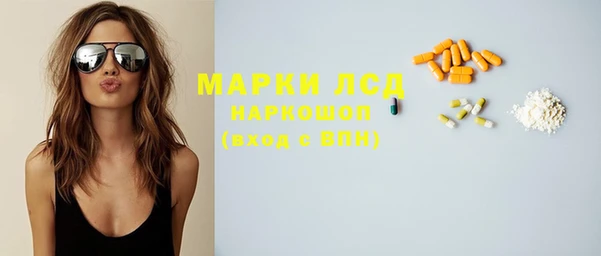 индика Баксан