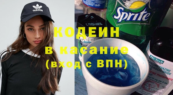 индика Баксан