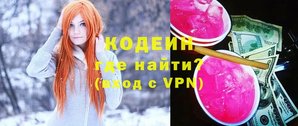 индика Баксан
