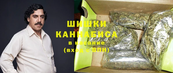 индика Баксан