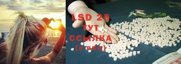 индика Баксан